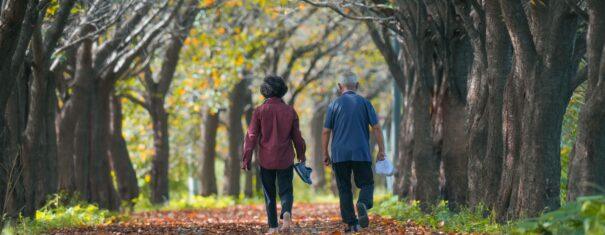 The Longevity Lifestyle: 10 Science-Backed Habits That Help You Live Better, Longer