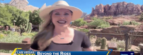 As Seen on CBS: LIVE at Disney California Adventure – Turn a Theme Park Day Into an Educational Adventure