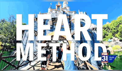 As Seen on FOX: The Hidden Lessons in Disneyland (with Free Guides)