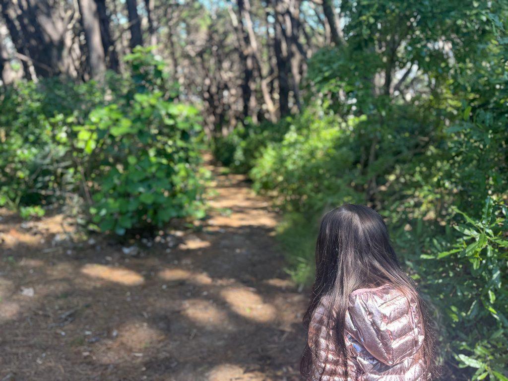 Livia walking in the woods of New Zealand.  Image by Christianne Klein